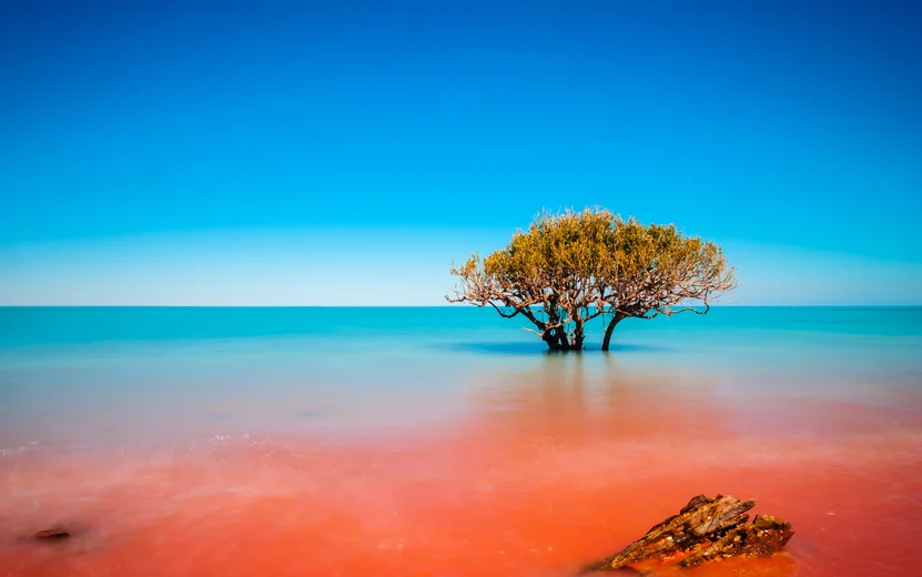 Broome